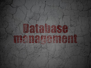 Image showing Software concept: Database Management on grunge wall background