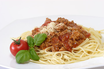 Image showing Bolognese 7