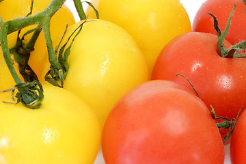 Image showing Fresh Tomatoes