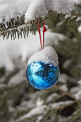 Image showing Blue Baubles on the Christmas tree