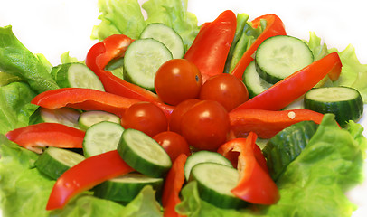 Image showing vegetables on the dish  
