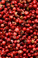 Image showing Pink peppercorns close up