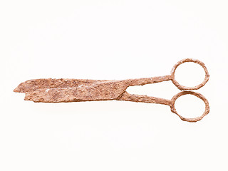 Image showing  Rusted scissors vintage