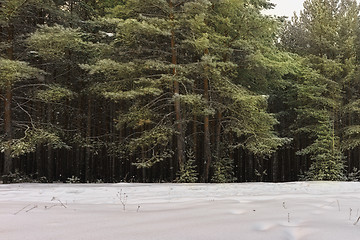 Image showing Winter landscape with snow