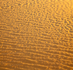 Image showing africa the brown sand dune in   sahara morocco desert line