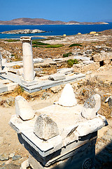 Image showing bush   in delos   the   and old ruin site