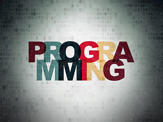 Image showing Software concept: Programming on Digital Paper background