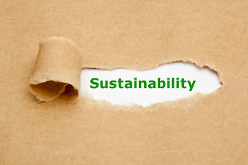 Image showing Sustainability Torn Paper Concept