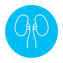 Image showing Kidney line icon.