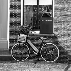 Image showing Flower Bicycle