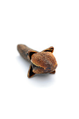 Image showing Organic black cloves