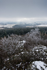 Image showing Winter landscpae