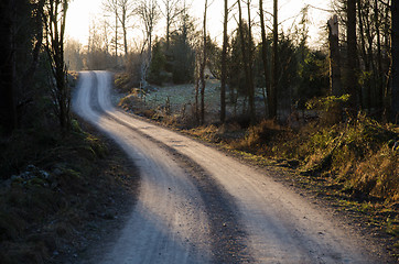 Image showing Winding gravel road through a forest