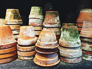 Image showing Old mossy clay pots