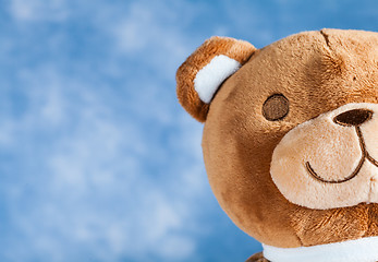 Image showing Lovely Teddy Bear