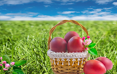 Image showing Easter eggs in a basket among the green grass.