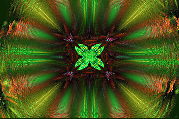 Image showing Fractal images : beautiful patterns on a dark green background.