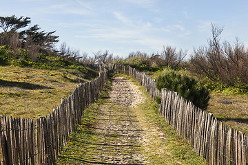 Image showing Footpath on the Atlantic Dune in Brittany