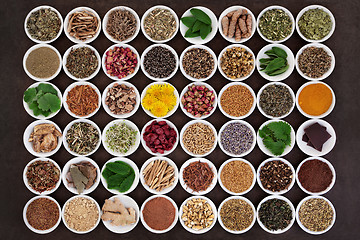 Image showing Medicinal Herbs  for Women