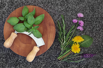 Image showing Fresh Herbs