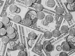 Image showing Black and white Dollar coins and notes