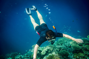 Image showing Snorkeler Maldives Indian Ocean coral reef.