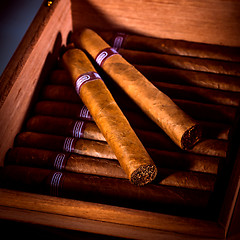 Image showing Cigars in humidor