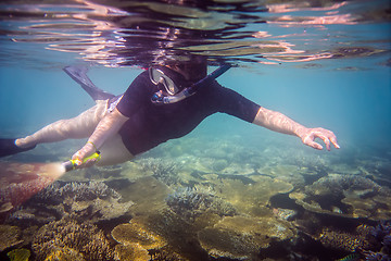 Image showing Snorkeler