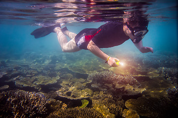 Image showing Snorkeler