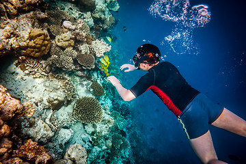 Image showing Snorkeler Maldives Indian Ocean coral reef.