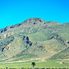 Image showing brown bush  in    valley  morocco         africa the atlas dry m