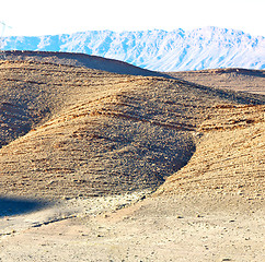 Image showing bush  in    valley  morocco     africa the atlas dry mountain  