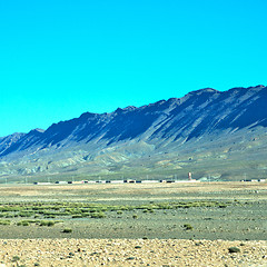 Image showing bush  in    valley  morocco     africa the atlas dry mountain  