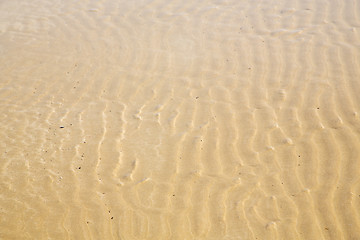 Image showing dune morocco in africa   wet sand   atlantic ocean