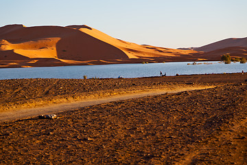Image showing sunshine in the lake yellow  desert of morocco  and     dune