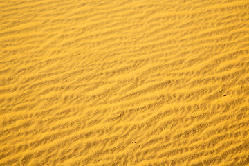 Image showing africa the brown sand dune 