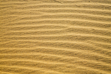 Image showing africa  sand dune in   