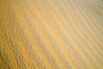 Image showing africa   sand  