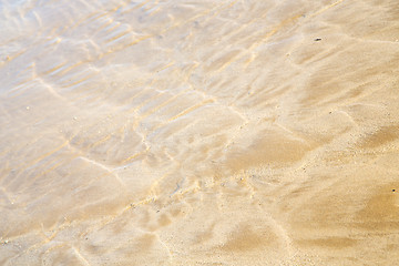 Image showing dune   in africa brown coastline   near atlantic ocean