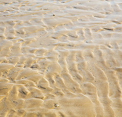 Image showing dune morocco in africa brown coastline wet sand beach near atlan