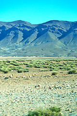 Image showing brown bush  in    valley          africa the atlas dry  