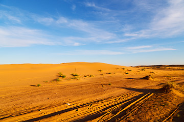 Image showing sunshine in the lake yellow    of morocco sand      dune