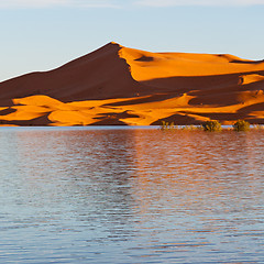 Image showing sunshine in the lake yellow  desert of morocco sand and     dune