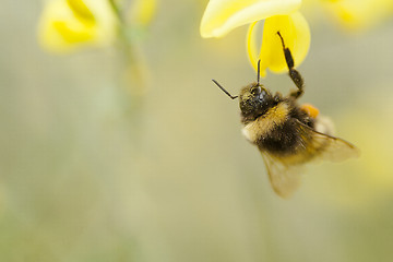 Image showing upside down