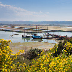 Image showing Natural park Secovlje Salina, Slovenia.