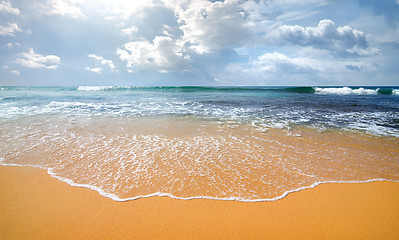 Image showing Waves and coast