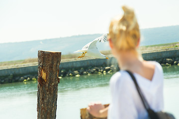 Image showing Woman watching seagull in summertime.