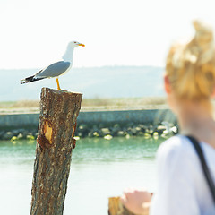 Image showing Woman watching seagull in summertime.