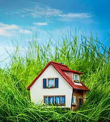 Image showing House on the green grass