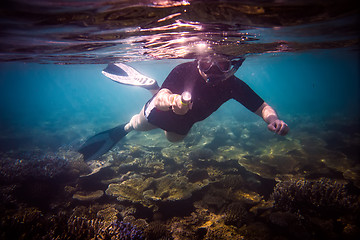 Image showing Snorkeler